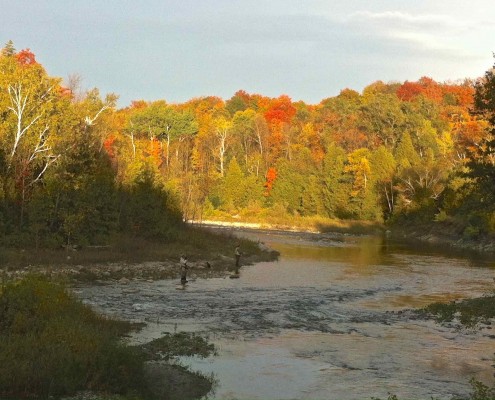 The Bighead River in Meaford Updtream from The Legion Hole Fall AA