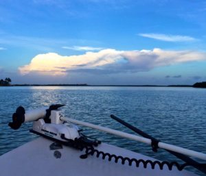 Florida Sunset MinnKota Saltwater Trolling Motor 2016AAAA
