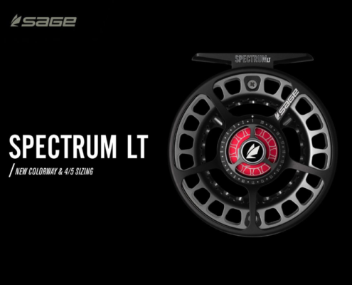 Newest Addition to the Sage SPECTRUM LT Fly Reel Family for 2019A