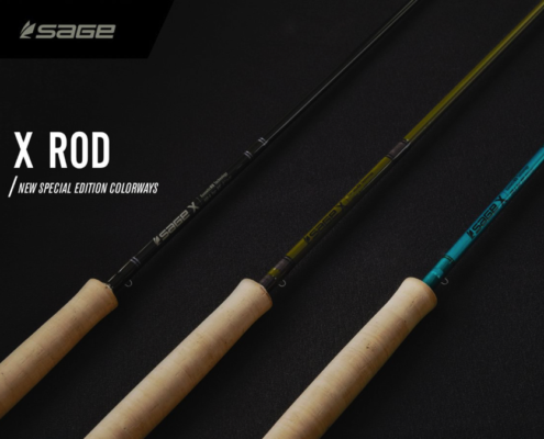 New Special Edition Colour-ways for The Sage X Rod Family A